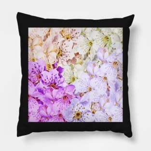 beautiful colorful apple blossoms Pillow