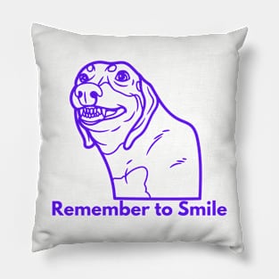 Remember to Smile Pillow