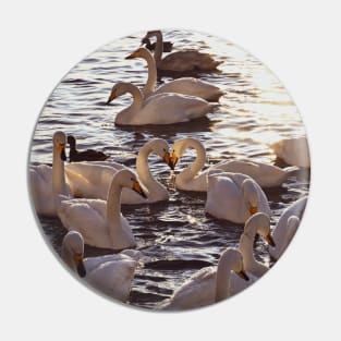 Swan Love Pin