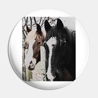 Pair of Friendly Horses Pin