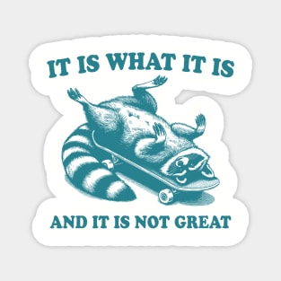 It Is What It Is And Its Not Great Funny Raccoon Meme Magnet