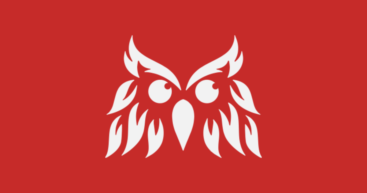 Weird Looking Owl Design Weird Looking Owl T Shirt Teepublic