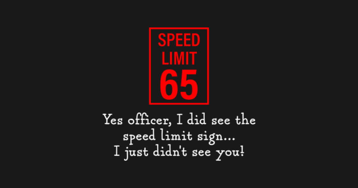 Speeding ticket example picture