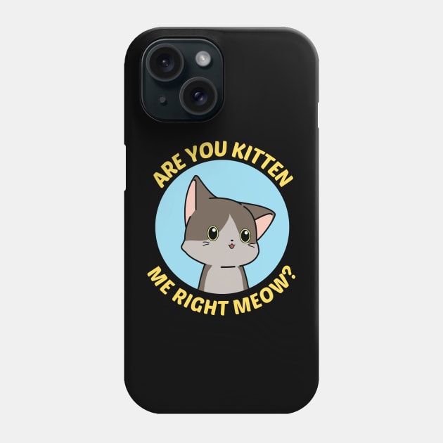 Are You Kitten Me Right Meow - Cute Cat Pun Phone Case by Allthingspunny