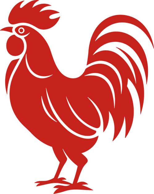 Rooster Kids T-Shirt by aphian