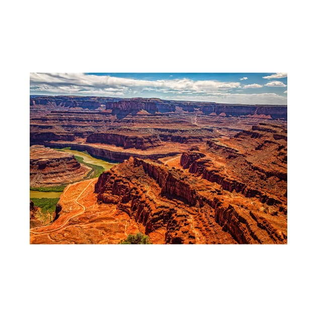 31781  Dead Horse Point State Park by Gestalt Imagery