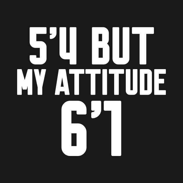 5'4 But My Attitude Is 6'1 by Work Memes