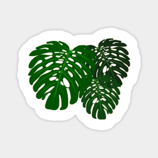 Monstera Deliciosa Leaves Magnet