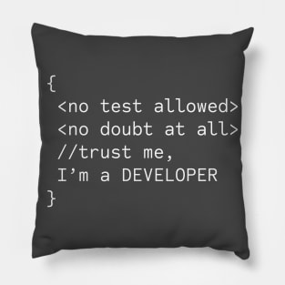 Serious Developer Pillow