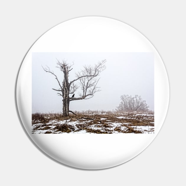 Lone Tree In Fog Pin by Robert Alsop