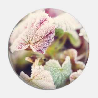 Frosted Begonia Leaves #2 Pin