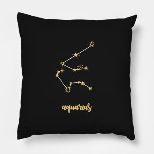 Aquarius  zodiac Pillow
