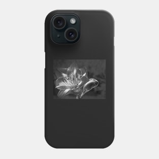 Amaryllis in Mono Phone Case