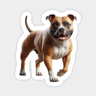American Staffordshire Terrier Magnet