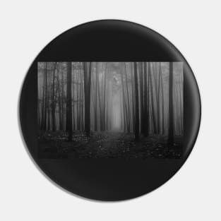 black and white foggy woods folklore taylor swift Pin