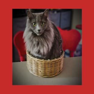 Grey green eyed cat in a basket T-Shirt