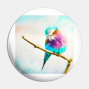 Lilac breasted roller Pin