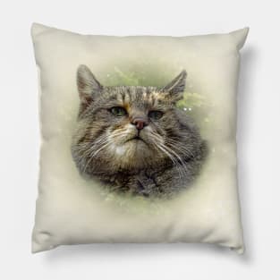 Wild cat Pillow