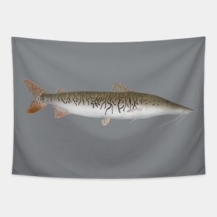 Tigar Shovelnose Catfish Tapestry