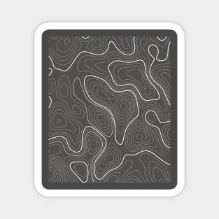 topoghraphic lignes pattern Magnet