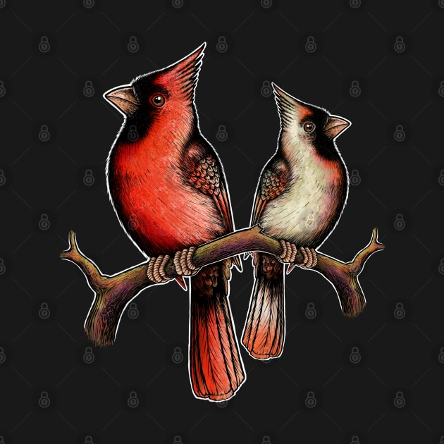 Red Cardinal bird male female by Artardishop