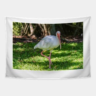 Hopping White Ibis 2 Tapestry