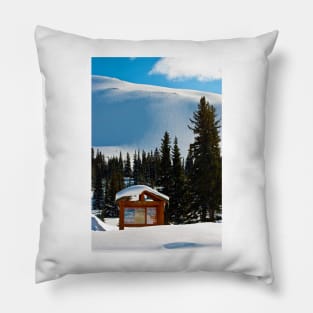 Canadian Rocky Mountains Icefields Parkway Canada Pillow