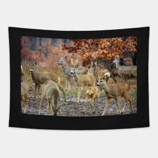 Roe deer family Tapestry