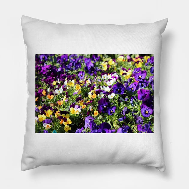 Cheerful Pansies Pillow by Cynthia48