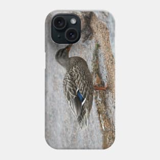 Lakeshore Duck Phone Case