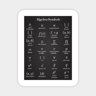 Algebra Symbols Magnet