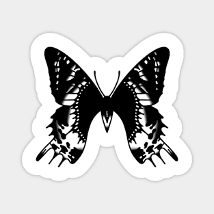 Butterfly Magnet