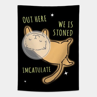 Space Kitty Out Here We is Stoned Imcatulate Tapestry