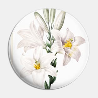 Madonna Lily from Choix des plus belles fleurs (1827) Pin