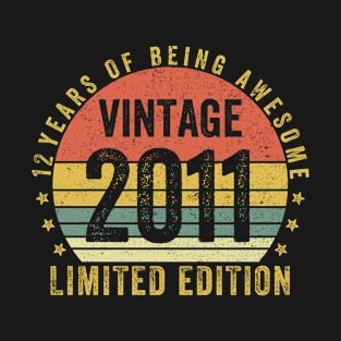 12 Years of Being Awesome 2011 LIMITED EDITION 12 Year Old Gift Vintage 2011 12th Birthday Gift T-Shirt