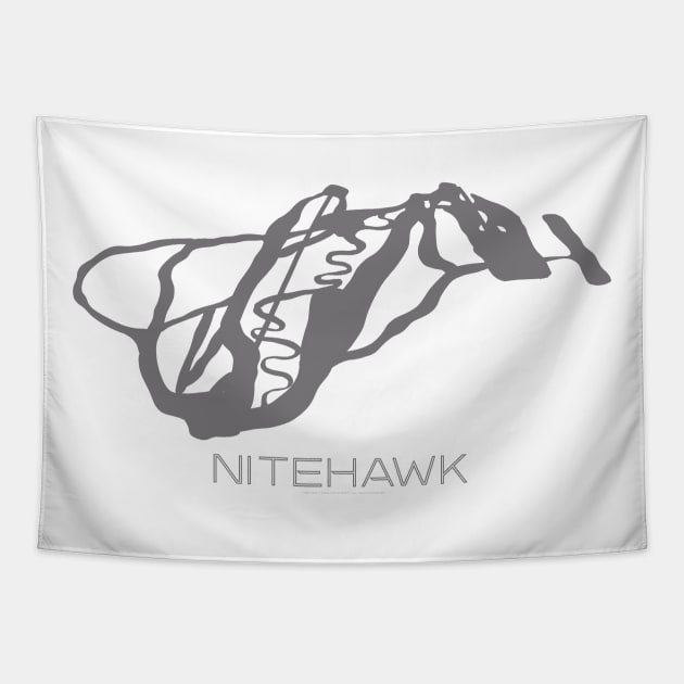 Nitehawk Resort 3D Tapestry by Mapsynergy