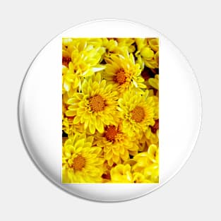 Yellow Daisies Pin