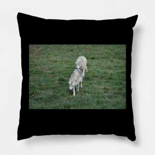 Wolves Pillow