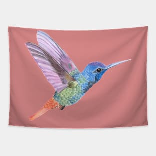 Colorful Colibri Tapestry