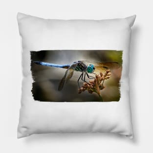 Blue Dasher Dragonfly Pillow