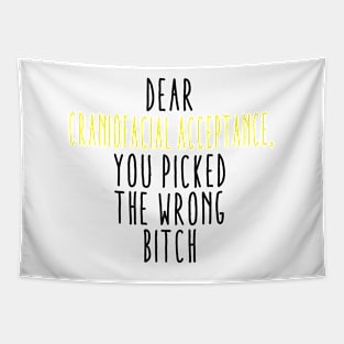 Dear Craniofacial Acceptance You Picked The Wrong Bitch Tapestry