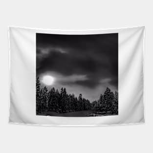 Moon Over Montana - Black and White Tapestry