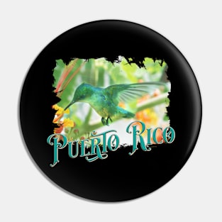 Colibri - Guani Taino Hummingbird Pin