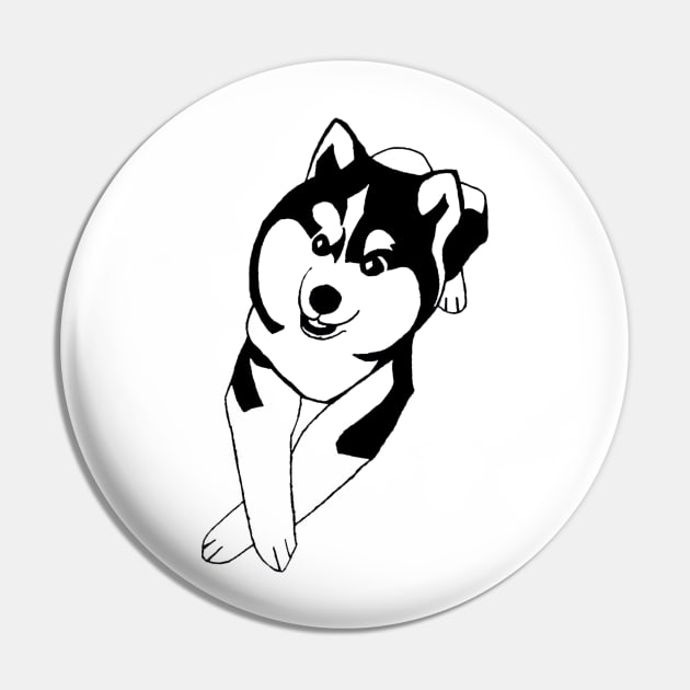 Pomsky puppy Pin by Indigo's Cavern