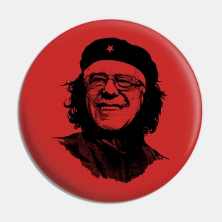 Viva la Bernie! Pin