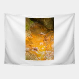 sli hot springs Tapestry