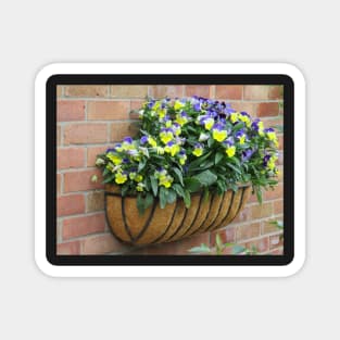 Basket of pansies Magnet