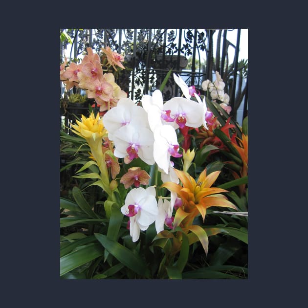 Colorful Orchids in Front of Wrought Iron Gate by KarenZukArt