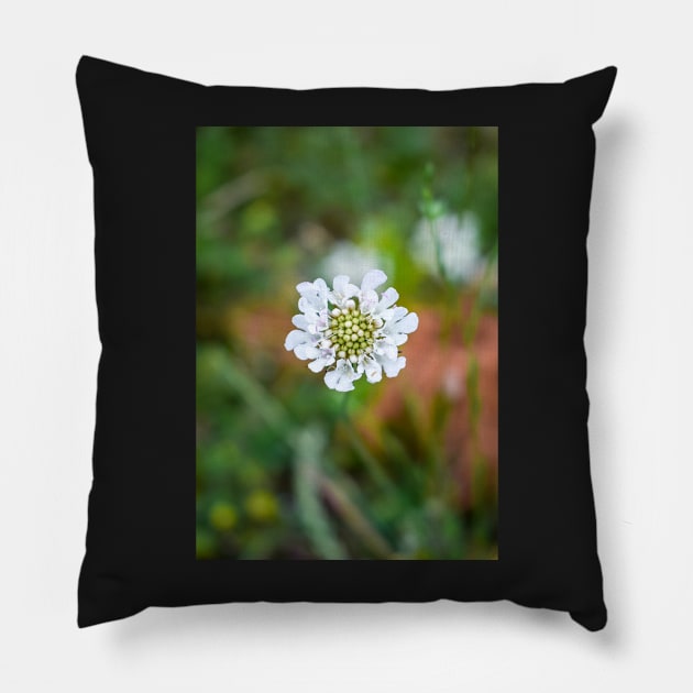 Little White Flower in the Grass Pillow by Anastasia-03