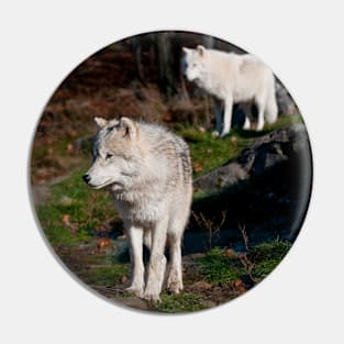 Timber Wolves Pin